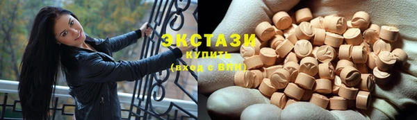индика Богородицк