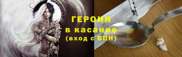 индика Богородицк