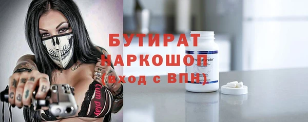 индика Богородицк
