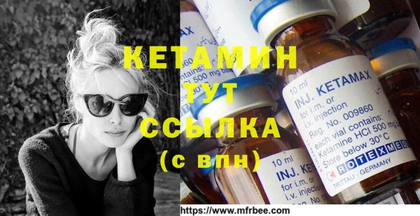 индика Богородицк