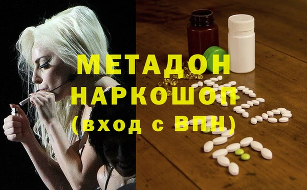 индика Богородицк