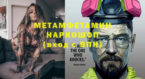 индика Богородицк