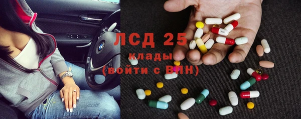 крисы Бородино