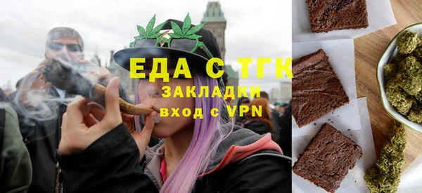 индика Богородицк