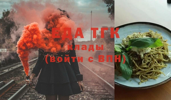 индика Богородицк