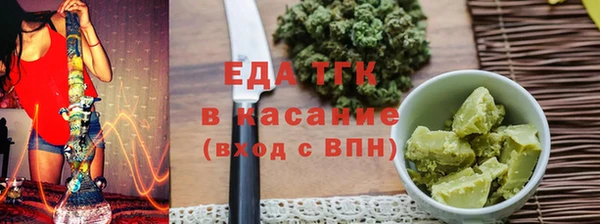 индика Богородицк