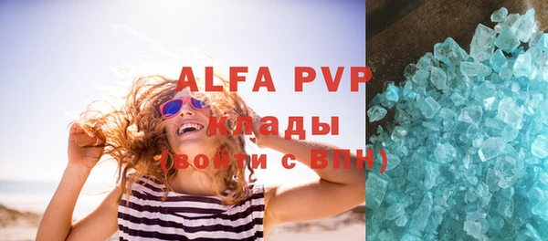 индика Богородицк