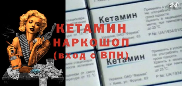 индика Богородицк